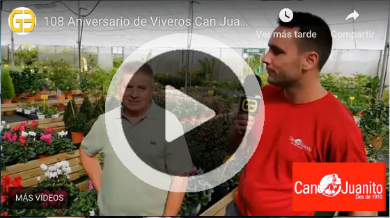can juanito video